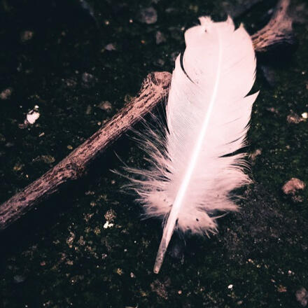 Sentinel of Heaven